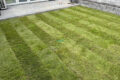 Turfed Lawns