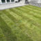 Turfed Lawns